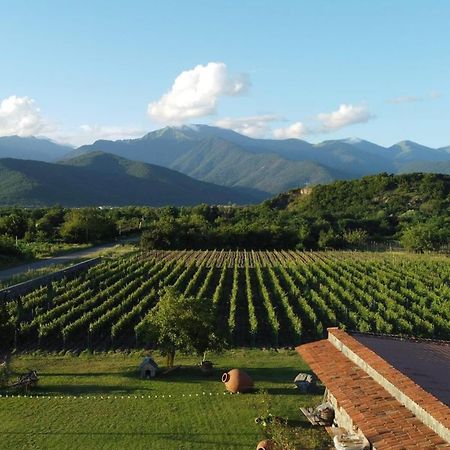 Chubini Winery & Cabins Kvareli Exterior foto