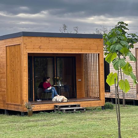 Chubini Winery & Cabins Kvareli Exterior foto