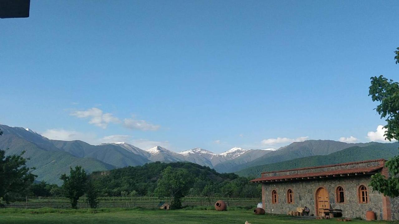 Chubini Winery & Cabins Kvareli Exterior foto