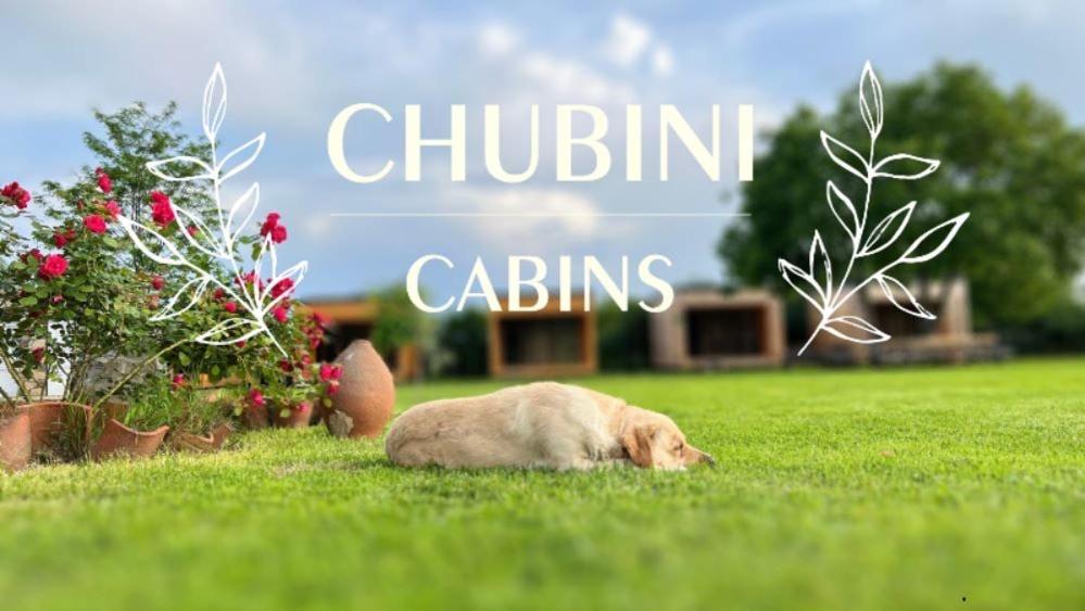 Chubini Winery & Cabins Kvareli Exterior foto