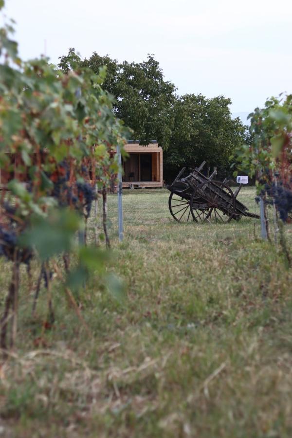 Chubini Winery & Cabins Kvareli Exterior foto