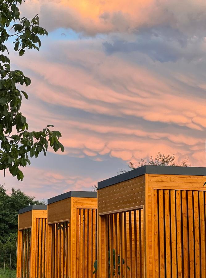Chubini Winery & Cabins Kvareli Exterior foto