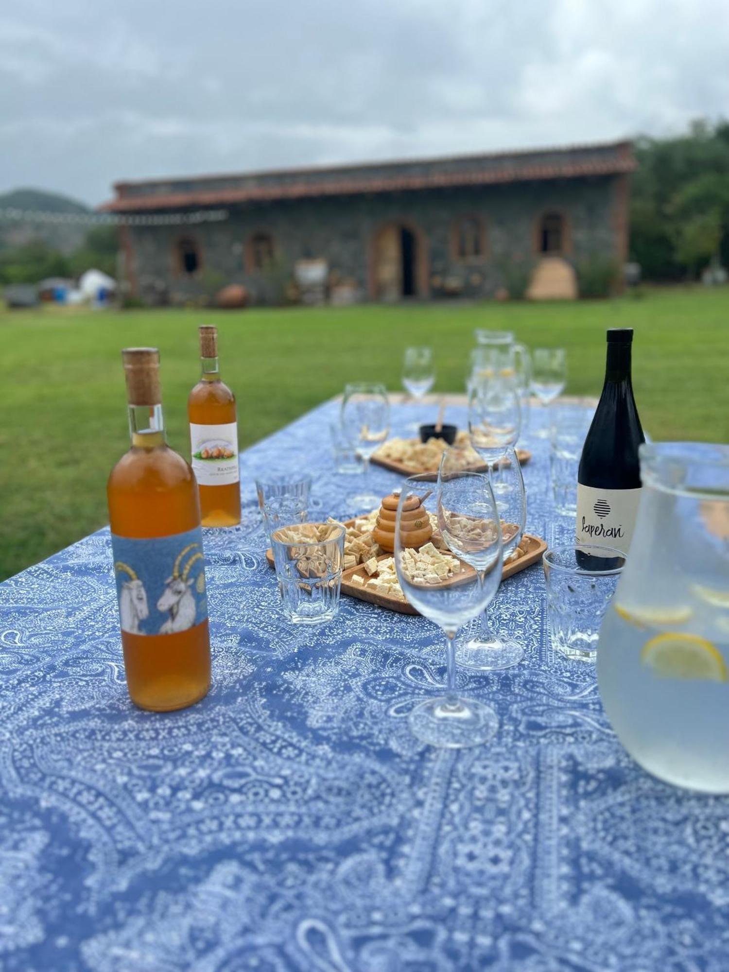 Chubini Winery & Cabins Kvareli Exterior foto