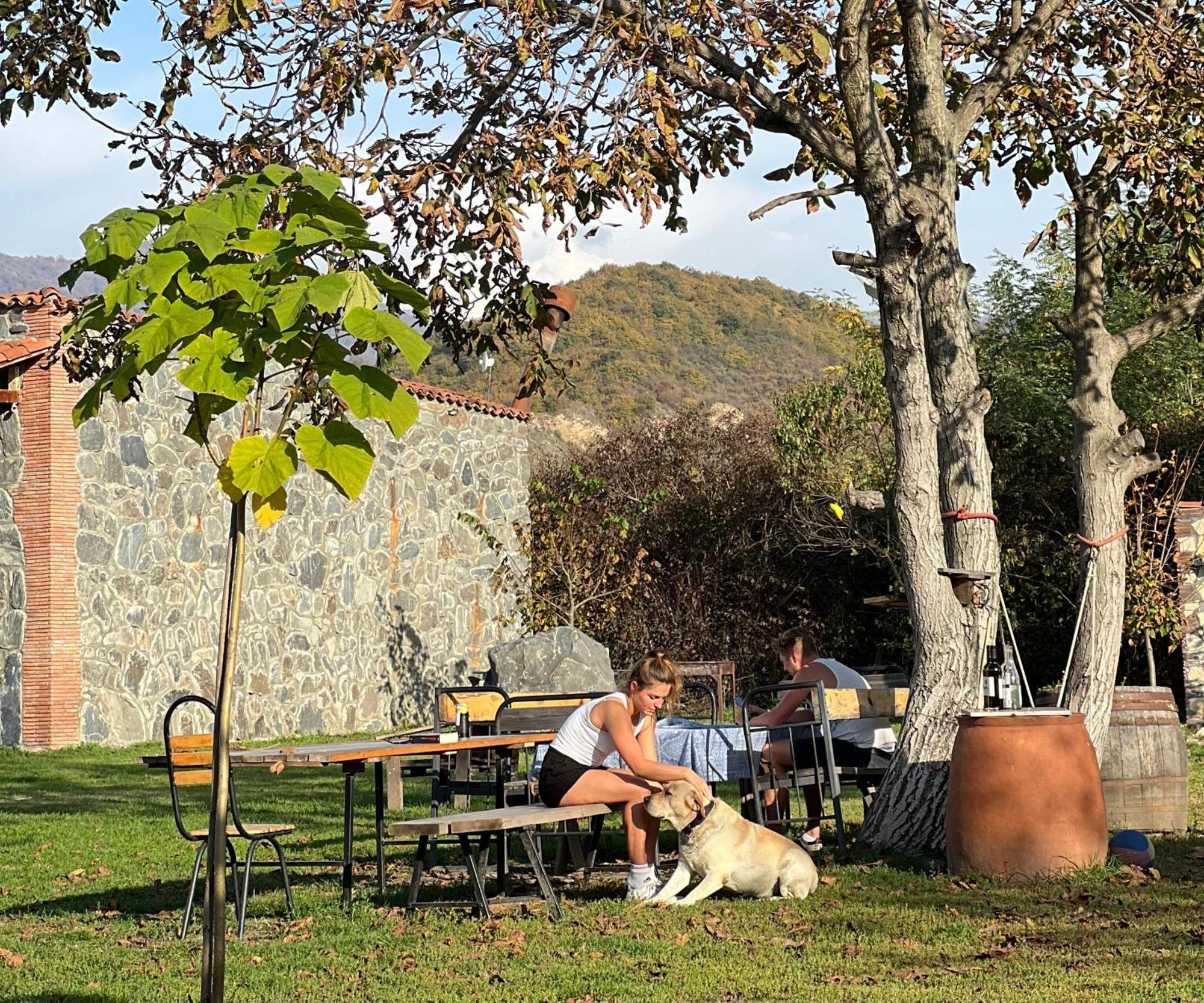 Chubini Winery & Cabins Kvareli Exterior foto