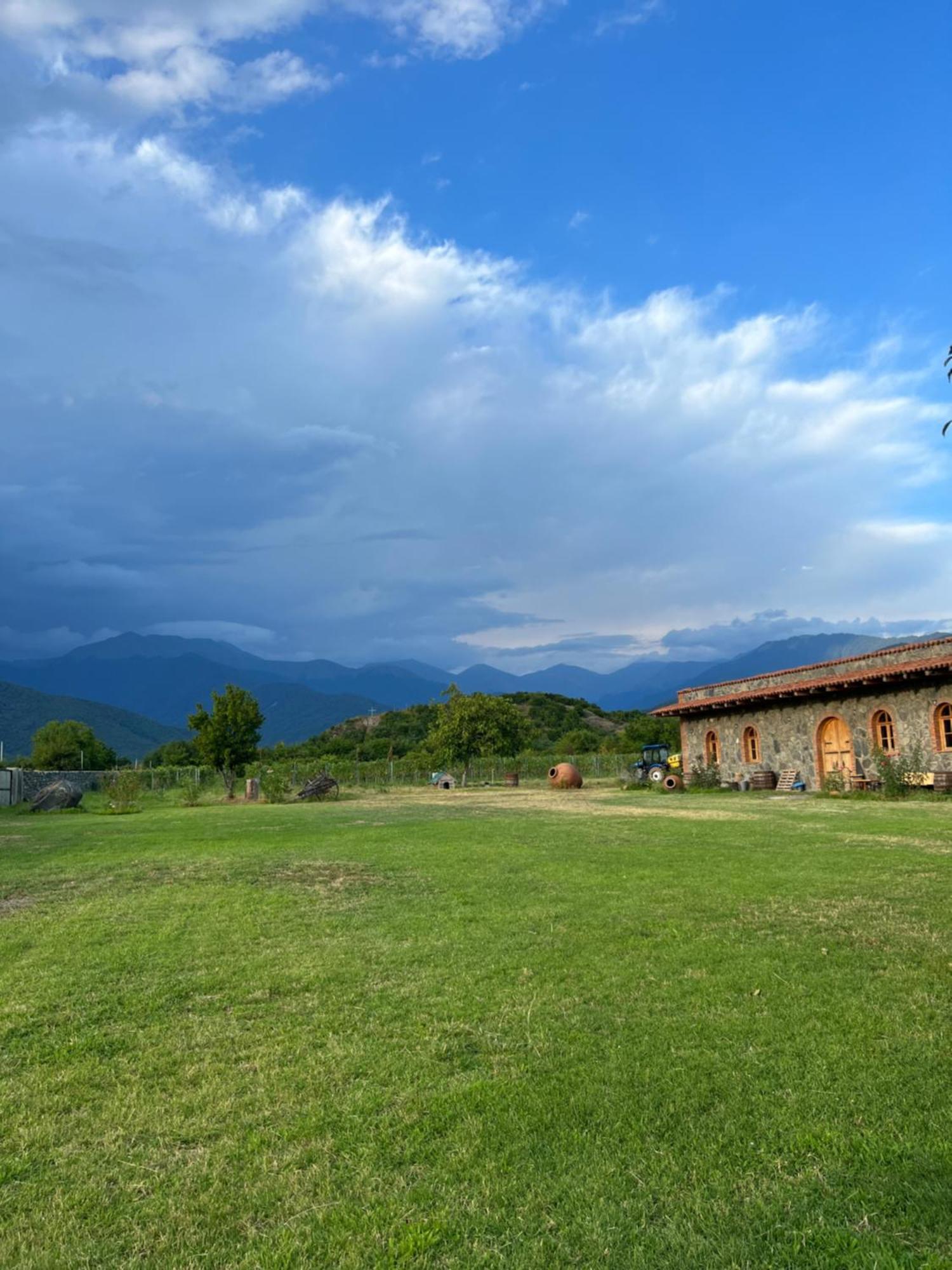 Chubini Winery & Cabins Kvareli Exterior foto
