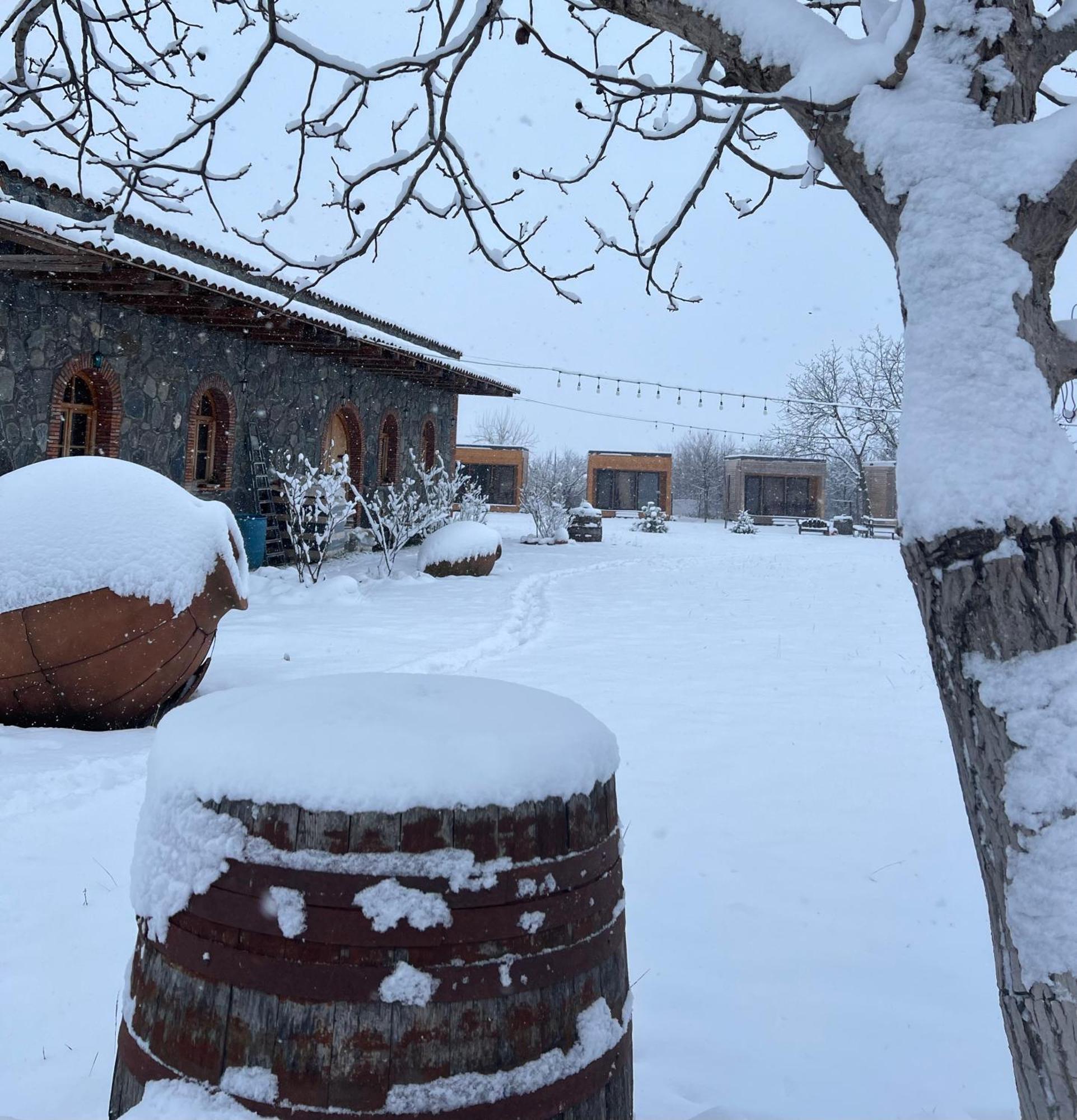 Chubini Winery & Cabins Kvareli Exterior foto