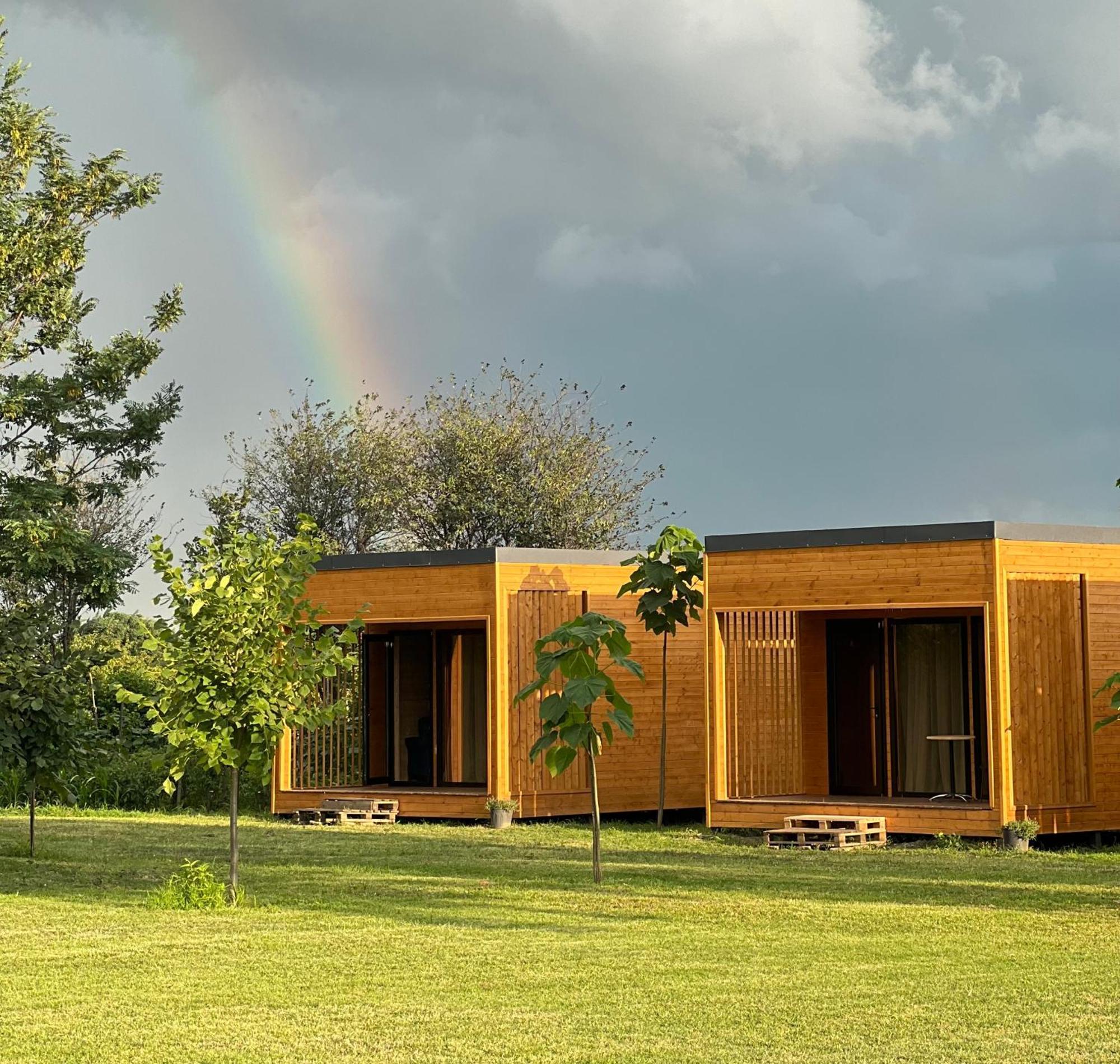 Chubini Winery & Cabins Kvareli Exterior foto