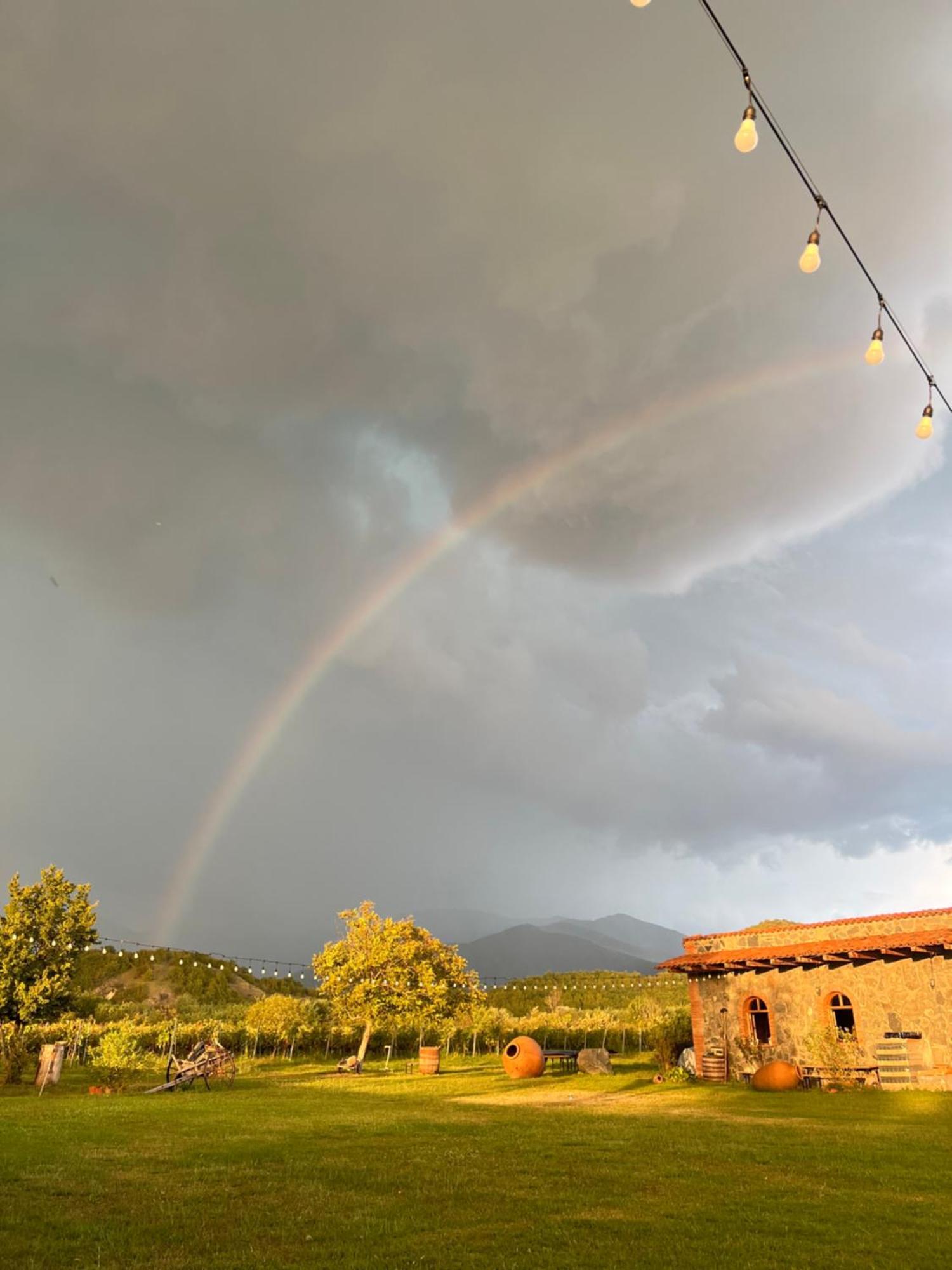 Chubini Winery & Cabins Kvareli Exterior foto