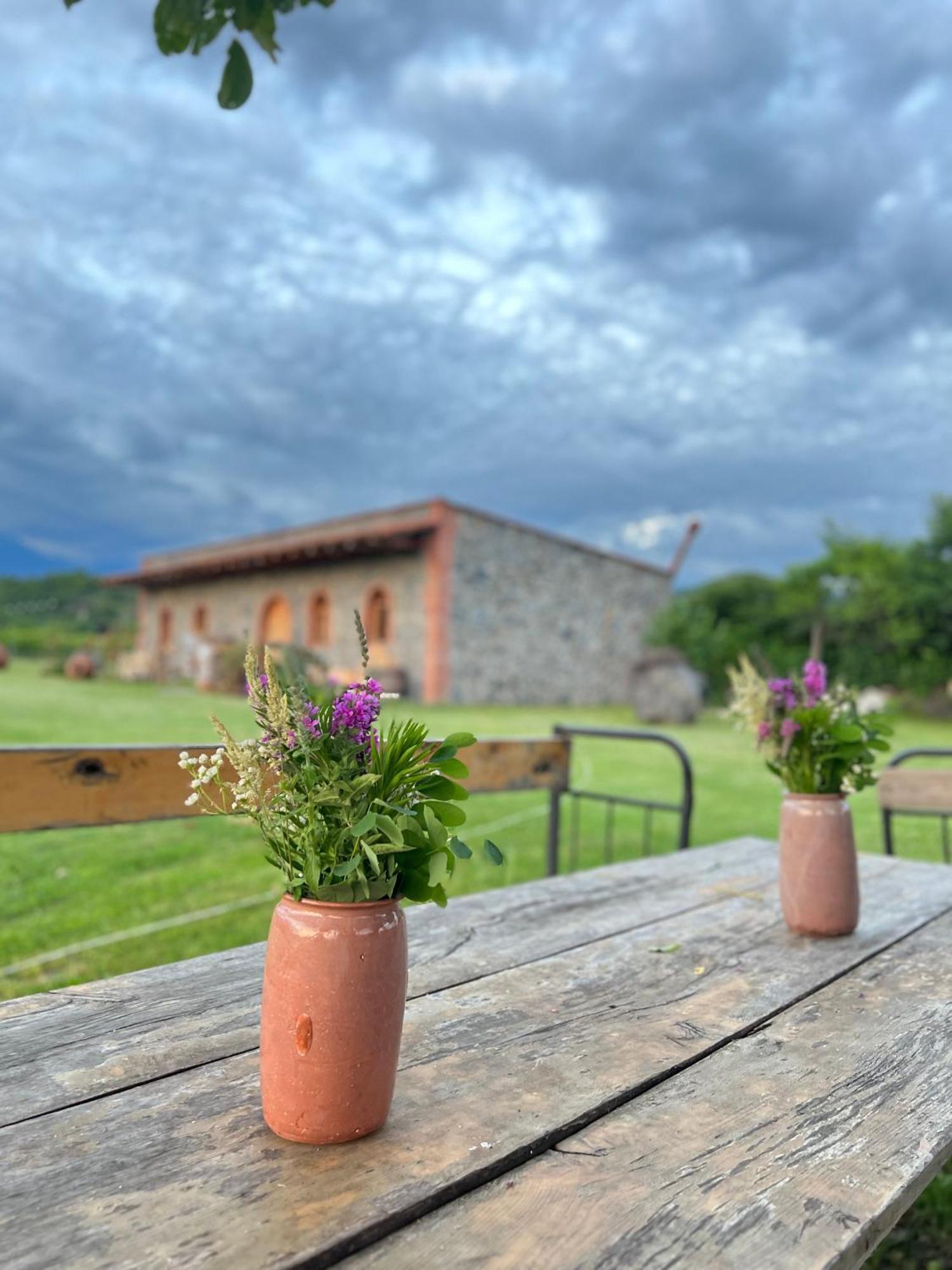 Chubini Winery & Cabins Kvareli Exterior foto